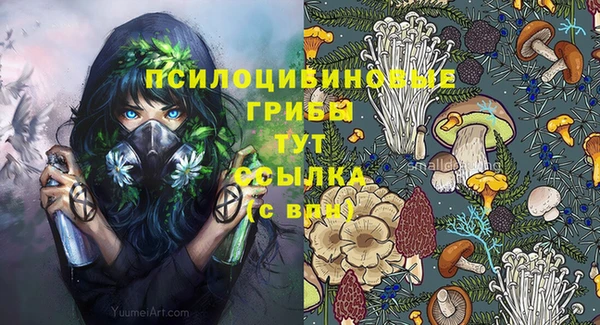 прущие крисы Кукмор